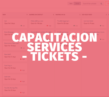 Capacitacion SERVICES